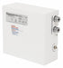 Electric Tankless Water Heater 240V