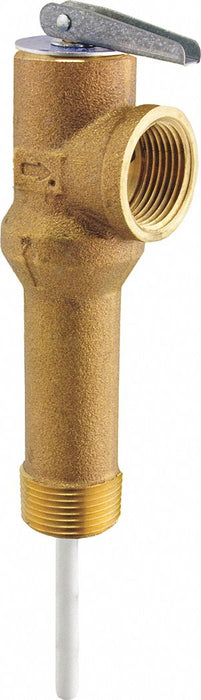 Temperature and Pressure Relief Valve