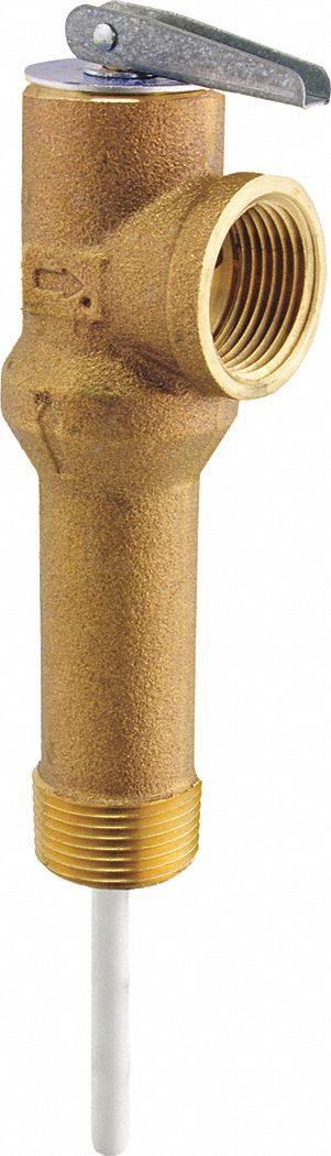 Temperature and Pressure Relief Valve
