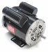GeneralPurposeMotor 1/4hp 1725RPM 48