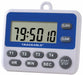 Timer Controller CountDown CountUp 100hr