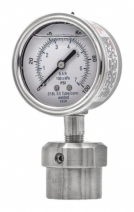 K4224 GaugewDiaphragmSeal100psi1PK