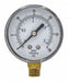 Pressure Gauge Nominal 2-1/2 Dial