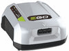 Battery Charger 120V AC (1) 56V