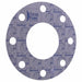 Full Face Flange Gasket 4 in Pipe Size