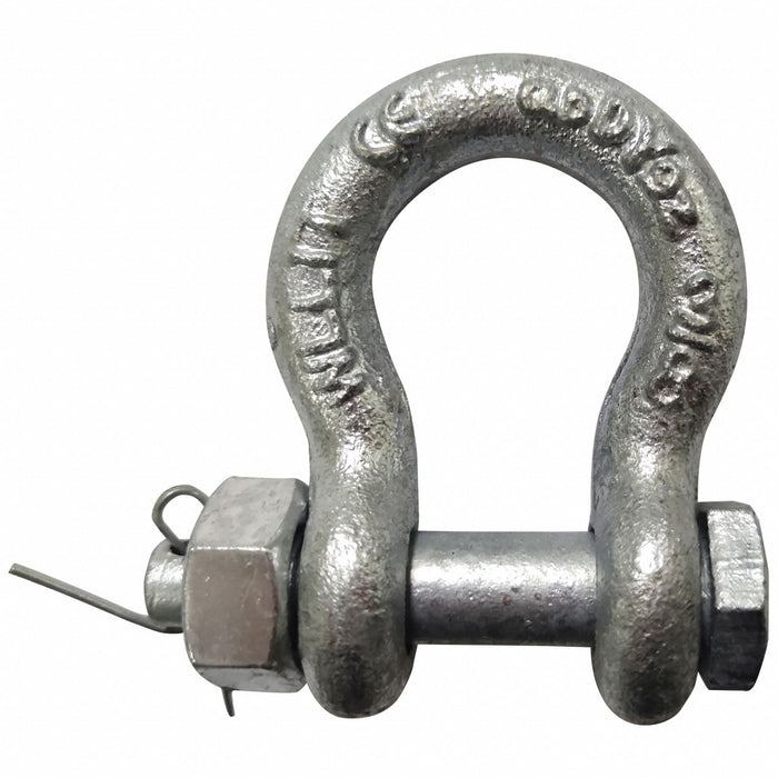 Anchor Shackle 2 000 lb Carbon Steel