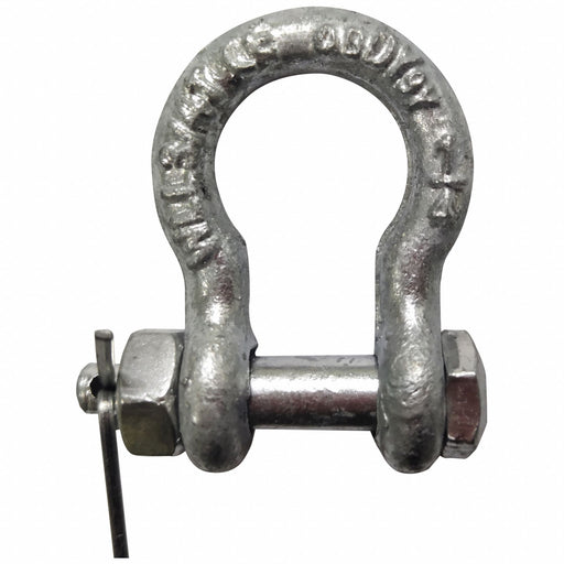 Anchor Shackle 1 500 lb Alloy Steel