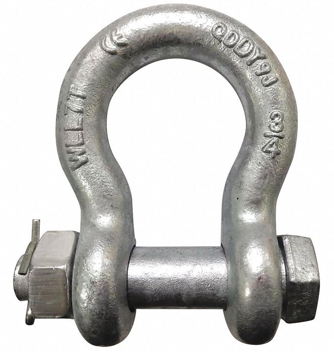 Anchor Shackle 6 600 lb Alloy Steel