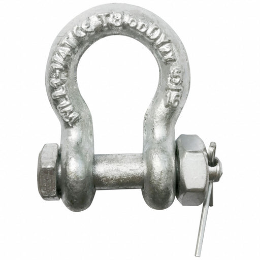 Anchor Shackle 2 500 lb Alloy Steel