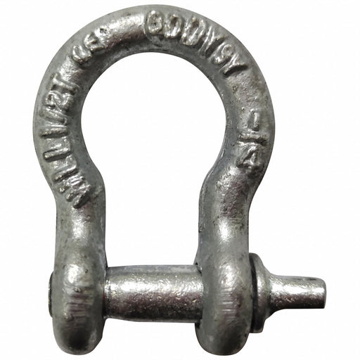 Anchor Shackle 1 000 lb Carbon Steel