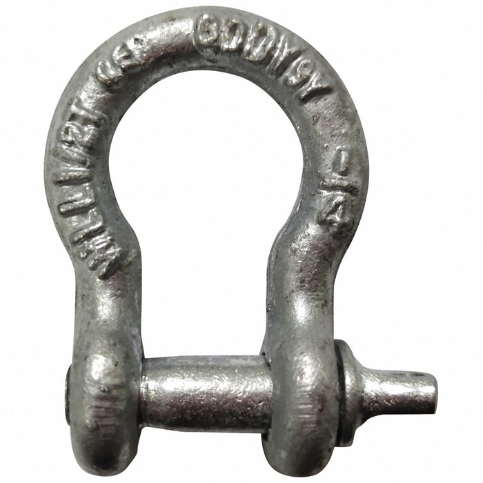 Anchor Shackle 1 000 lb Carbon Steel