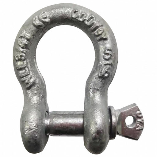 Anchor Shackle 1 500 lb Carbon Steel