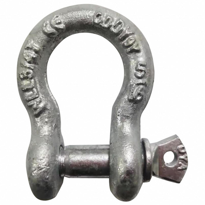 Anchor Shackle 1 500 lb Carbon Steel