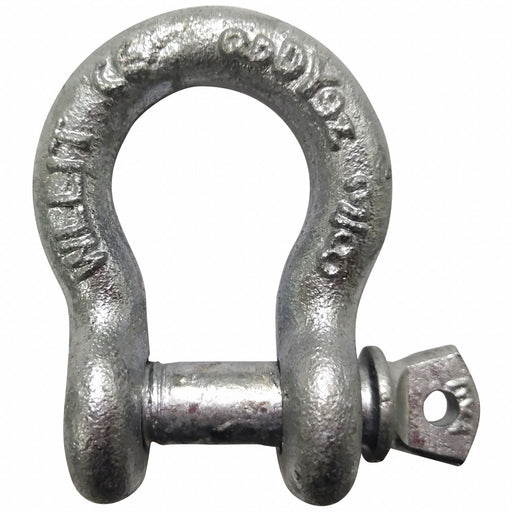 Anchor Shackle 2 000 lb Carbon Steel