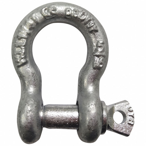 Anchor Shackle 2 500 lb Alloy Steel