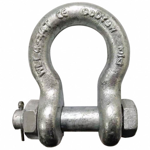 Anchor Shackle 9 500 lb Carbon Steel