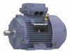 Metric Motor 4 HP 3 499 RPM 230/460V