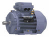 Metric Motor 4 HP 3 500 RPM 575V AC 100L