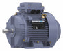 Metric Motor 5 1/2 HP 1 765 RPM 575V