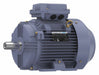 Metric Motor 10 HP 1 775 RPM 230/460V