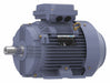 Metric Motor 10 HP 1 775 RPM 575V 132M