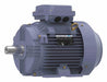 Metric Motor 10 HP 3 540 RPM 575V 132S