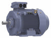 GP Motor 75 HP 1 790 RPM 230/460V 250M