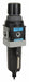 Filter-Regulator Particles/Water Removal