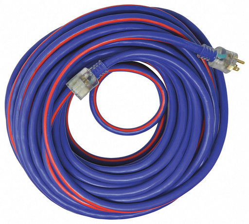 Extension Cord 10 AWG 125VAC 100 ft L