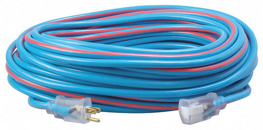 Extension Cord 12 AWG 125VAC 100 ft L