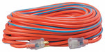 Extension Cord 12 AWG 125VAC 100 ft L