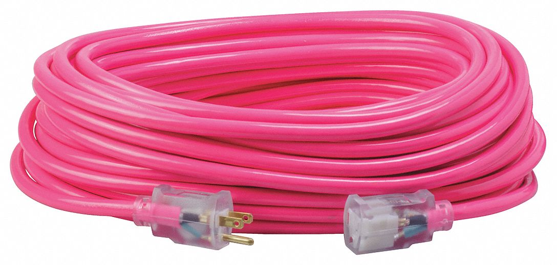 Extension Cord 12 AWG 125VAC 100 ft L