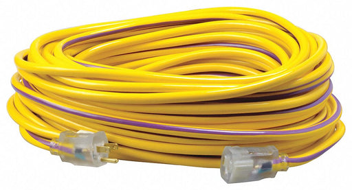 Extension Cord 12 AWG 125VAC 100 ft L