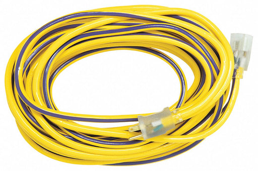 Extension Cord 12 AWG 125VAC 50 ft L
