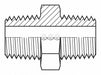 Hose Adapter 1/8 BSPT 1/8 BSPT