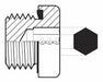 Hose Adapter 1/2 BSPP