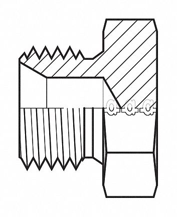 Hose Adapter 1/2 BSPP