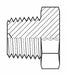 Hose Adapter 3/8 BSPT