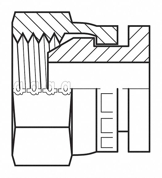 Hose Adapter 1/8 BSPP