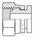 Hose Adapter 1/8 BSPP