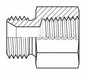 Hose Adapter 1-1/4 BSPP 1-1/4 NPT
