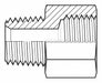 Hose Adapter 1/4 in x 12 mm Fem.xMale
