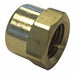 Hose Adapter 1/4 NPTF