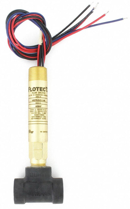 Liquid Flow Switch DPDT 125/250VAC