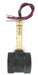 Liquid Flow Switch DPDT 125/250VAC