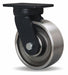 Plate Caster Swivel Steel 10 1/2 H
