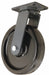 Plate Caster Swivel Phenolic 15 1/2 H