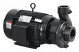 Centrifugal Pump 3 Ph 230/460VAC