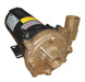 Straight Centrifugal High Head Pump 1 HP