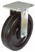 Plate Caster Rigid Phenolic 7 1/2 H